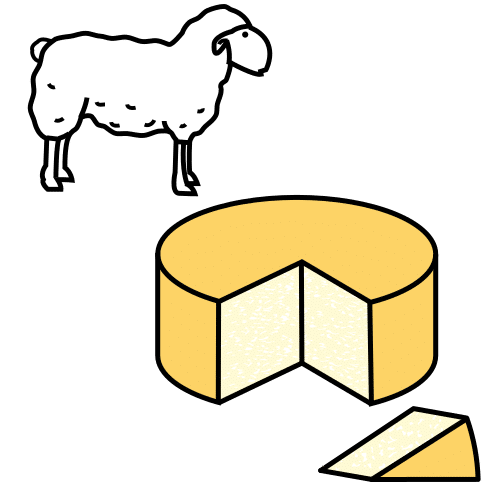 sheep milk cheese