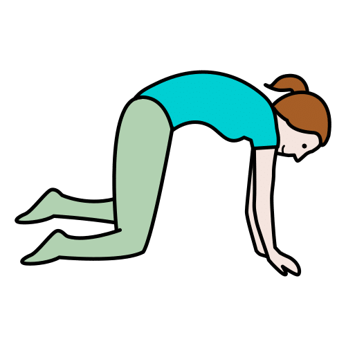 quadrupedalism