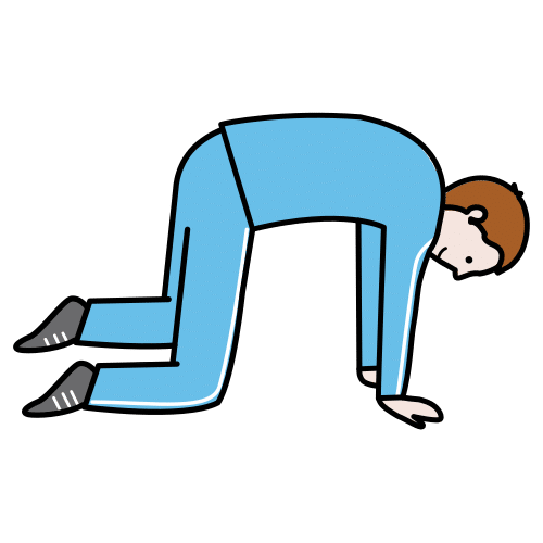 quadrupedalism
