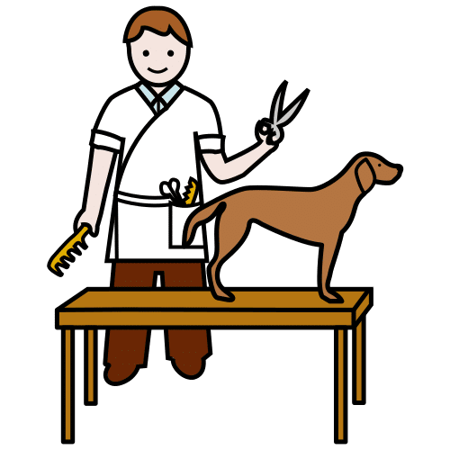 dog groomer