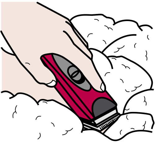 shear