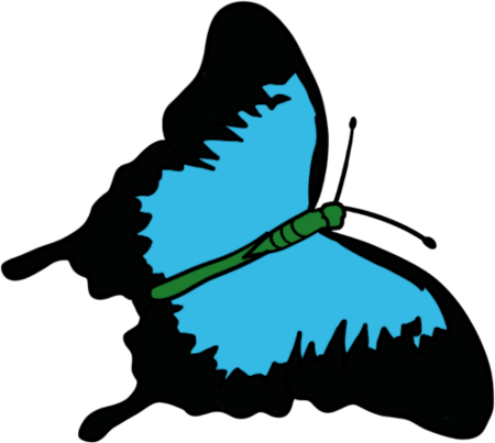 ulysses butterfly