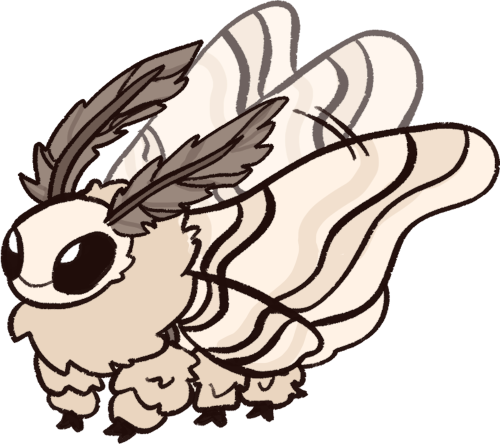silk moth