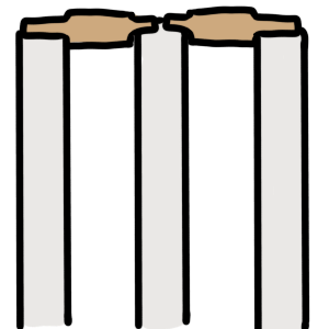 cricket bails
