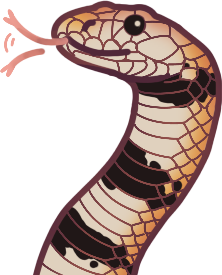 cape coral snake