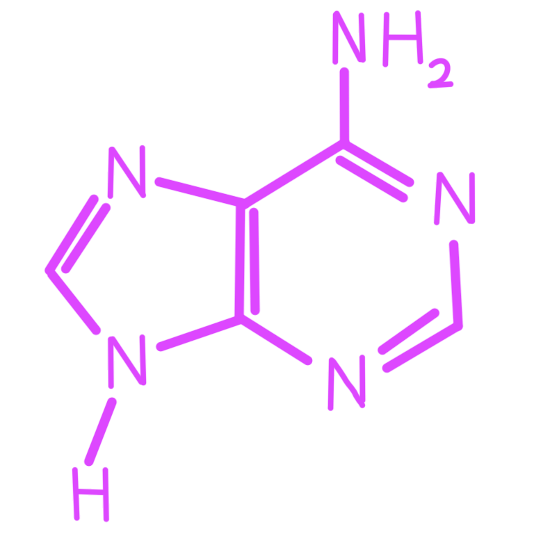 adenine