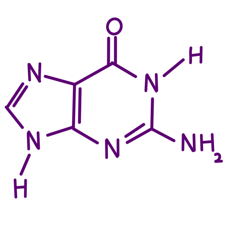 guanine