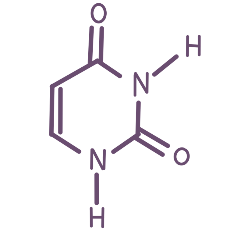 uracil