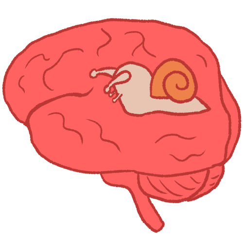 brain slow