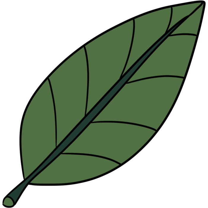 leaf