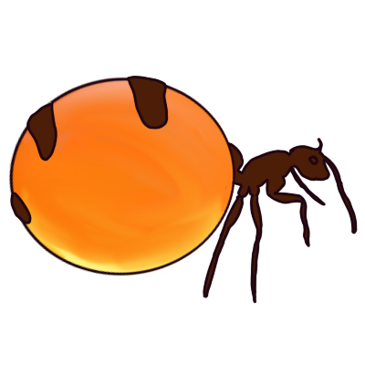 honeypot ant
