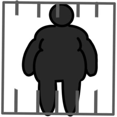 fat liberation
