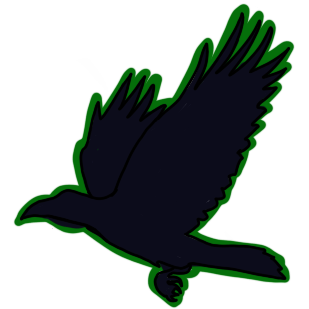 raven