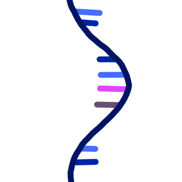 RNA