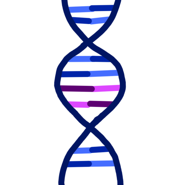 DNA