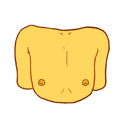 chest