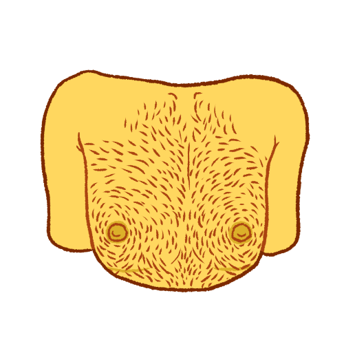 chest