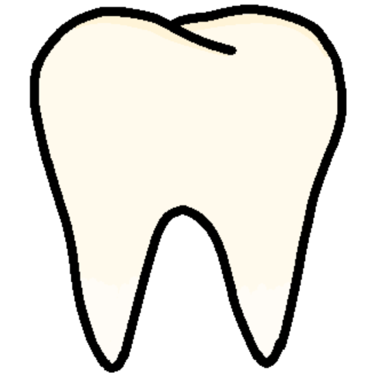 tooth
