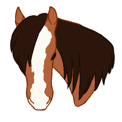 horse