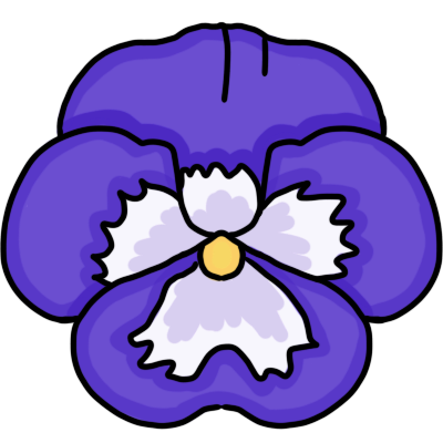 pansy
