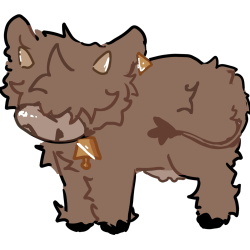 highland cow