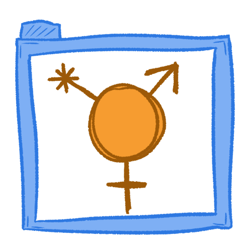 genders folder