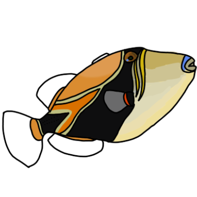 humuhumunukunukuapua'a