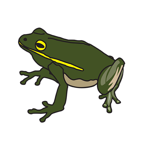 frog