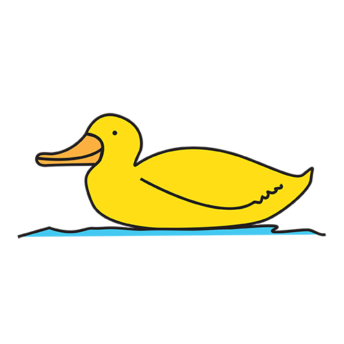 duck