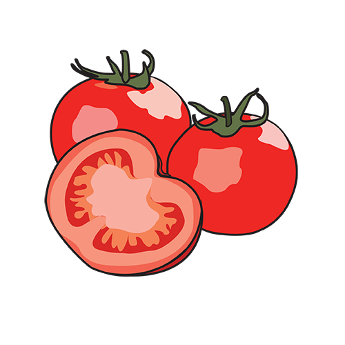 tomatoes